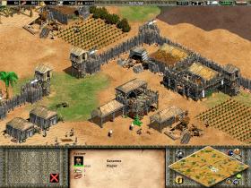 Age Of Empires II: The Age Of Kings - 7