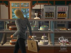 Sims 2: Wasny Biznes - 2
