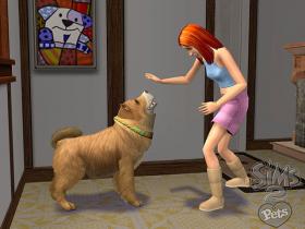 Sims 2: Zwierzaki - 2