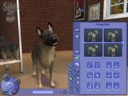 Sims 2: Zwierzaki Screen 1