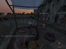 Mount and Blade - 5