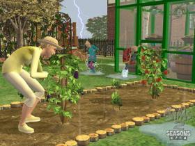 Sims 2: Cztery pory roku - 2