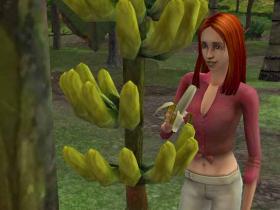 Sims: Historie z bezludnej wyspy - 4