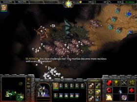 Warcraft III: Reign of Chaos - 4